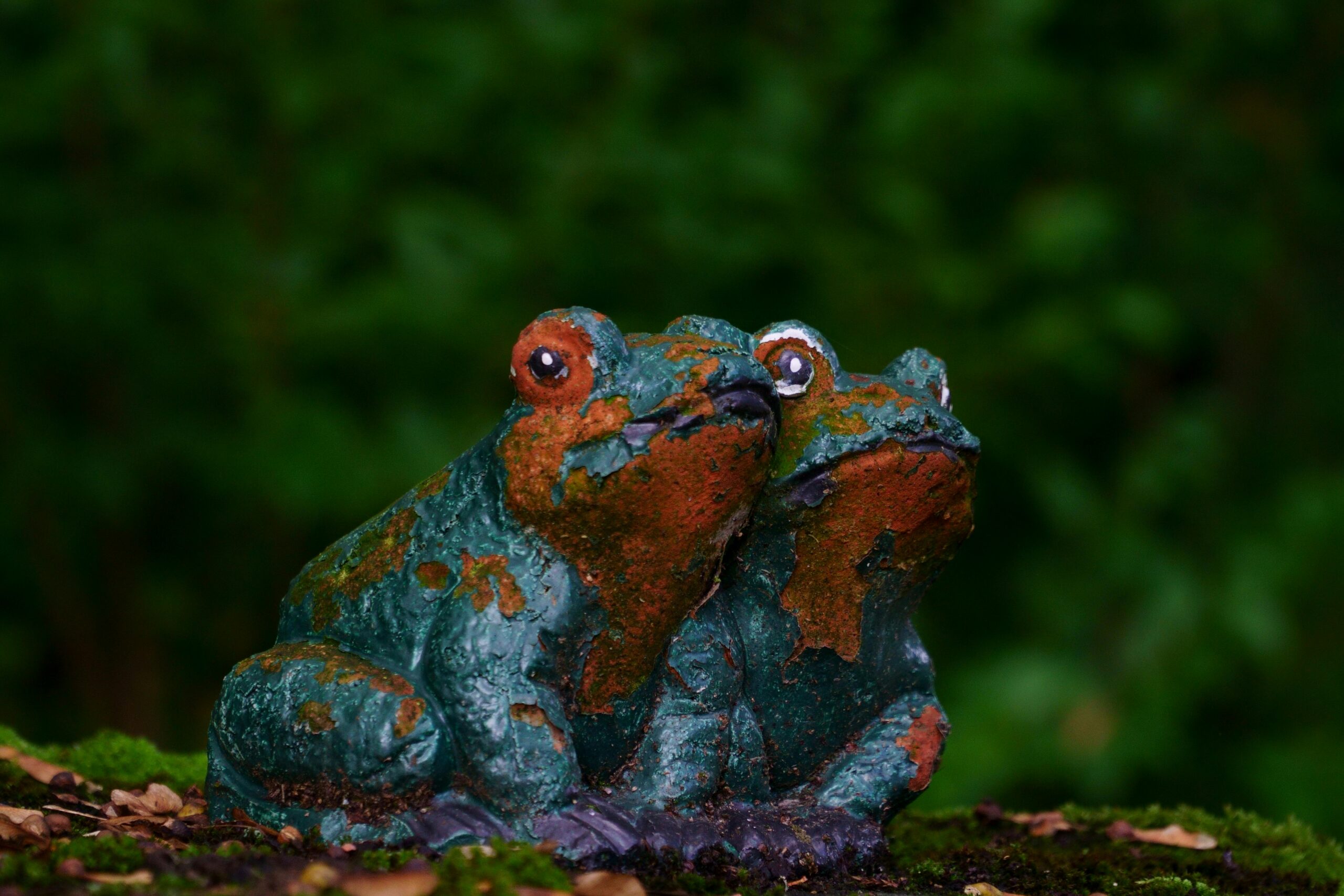 Kostenloses Stock Foto zu amphibie, artefakte, botanische umgebung